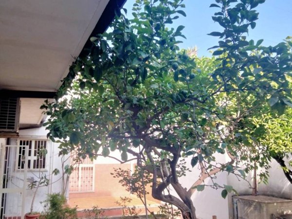 casa indipendente in vendita a Catania