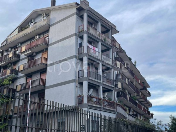 appartamento in vendita a Catania