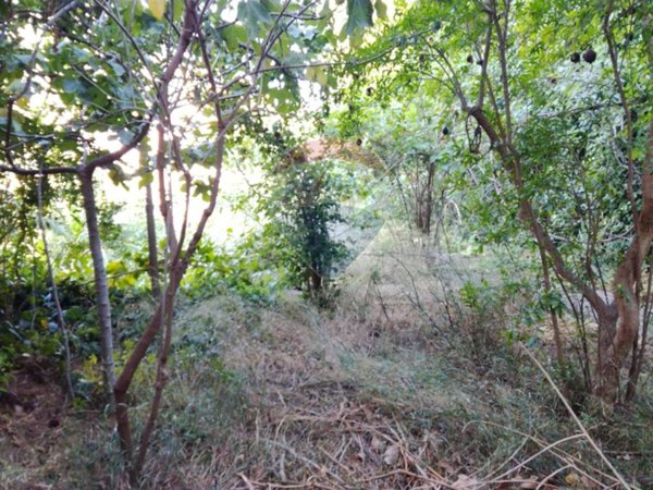 casa indipendente in vendita a Catania in zona Centro Storico