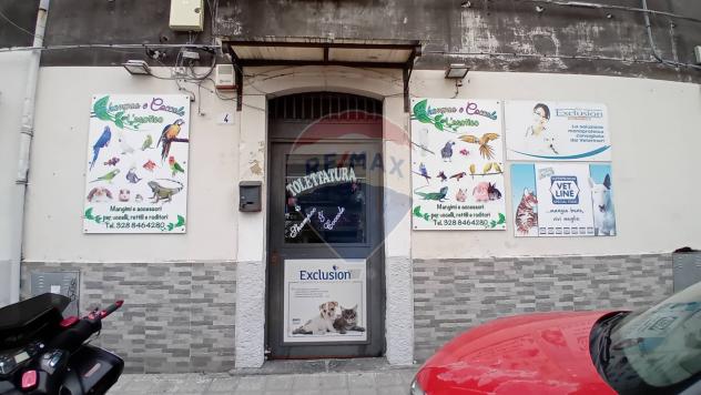 negozio in vendita a Catania in zona Ognina