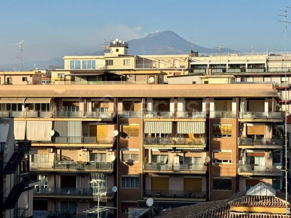 appartamento in vendita a Catania