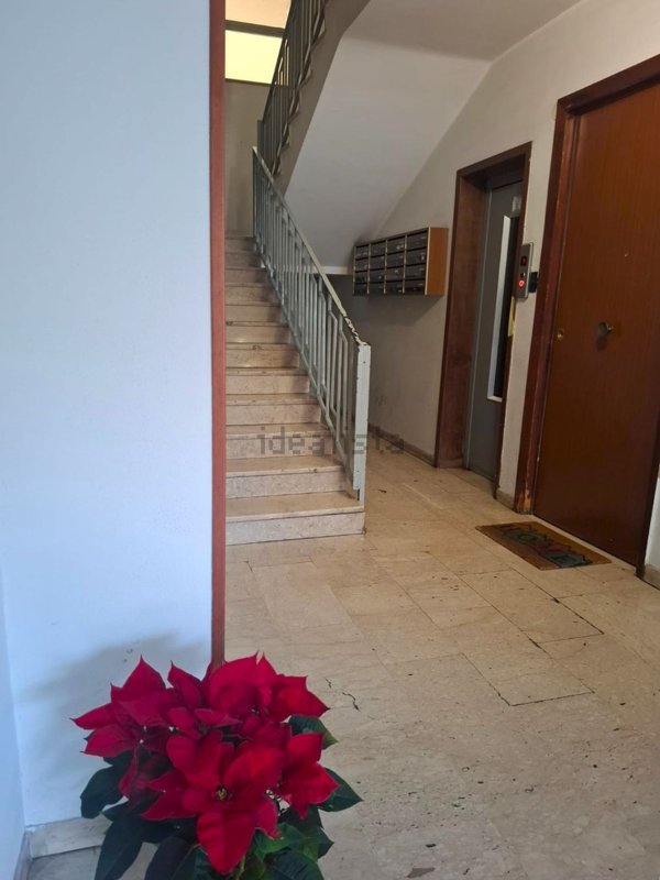 appartamento in vendita a Catania in zona Picanello