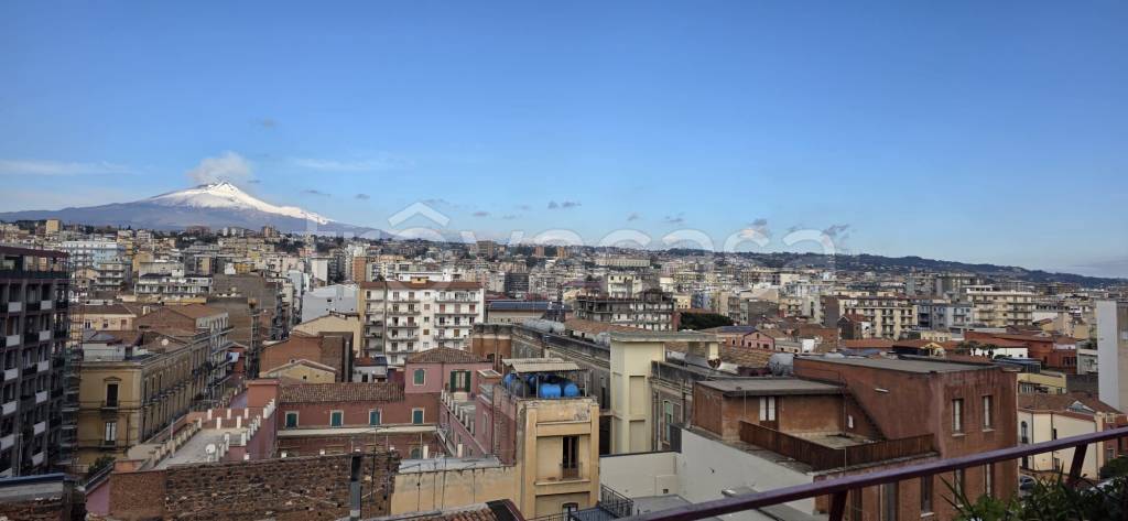 appartamento in vendita a Catania