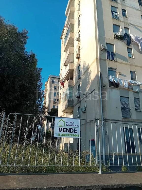 appartamento in vendita a Catania