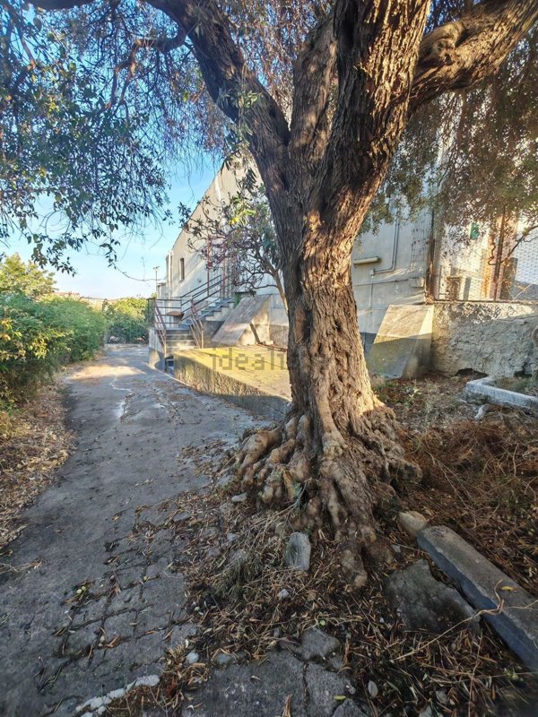 casa indipendente in vendita a Catania in zona Librino