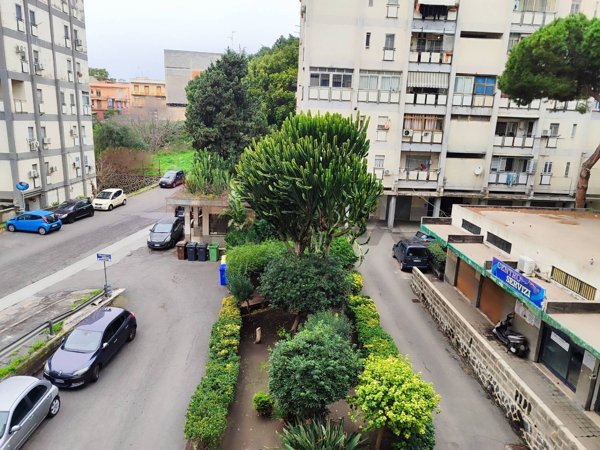appartamento in vendita a Catania in zona San Leone