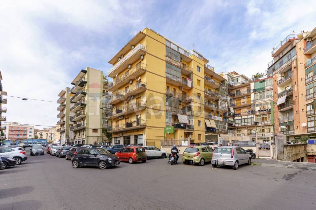 negozio in vendita a Catania
