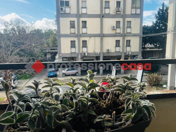appartamento in vendita a Catania in zona San Giorgio