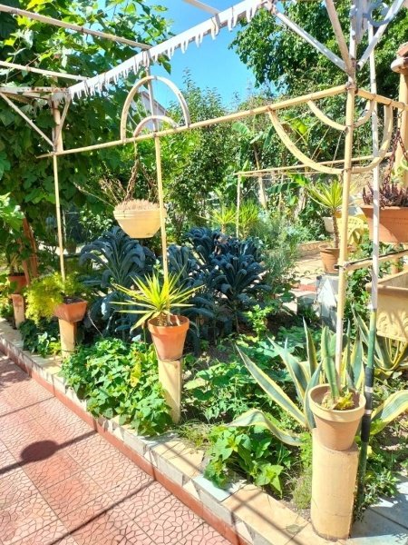 appartamento in vendita a Catania in zona Cibali