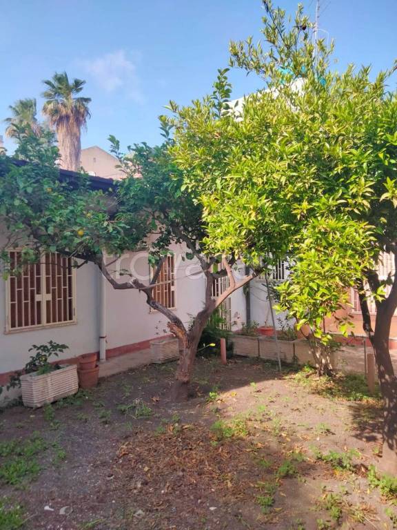 casa indipendente in vendita a Catania in zona Centro Storico