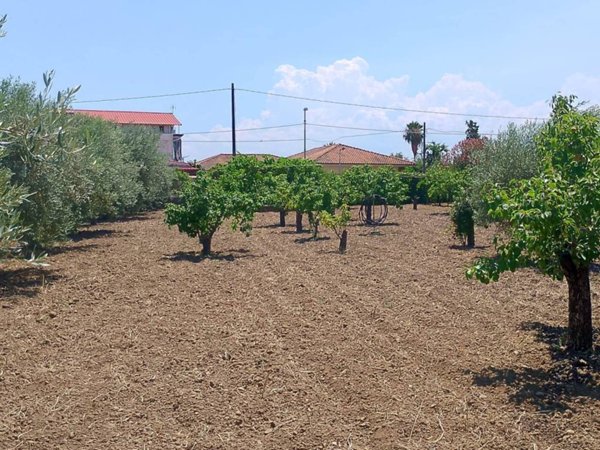 casa indipendente in vendita a Catania in zona Fontanarossa