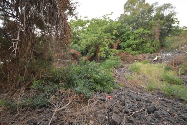 terreno agricolo in vendita a Catania
