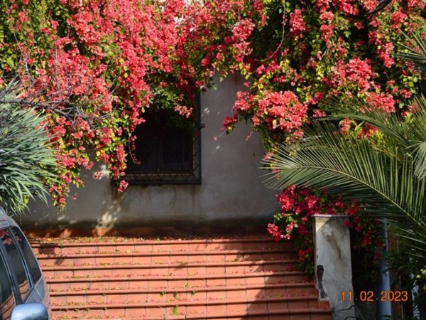 casa indipendente in vendita a Catania in zona San Nullo