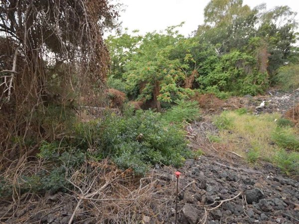 terreno agricolo in vendita a Catania in zona Trappeto