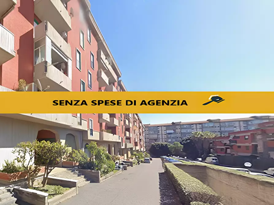 appartamento in vendita a Catania
