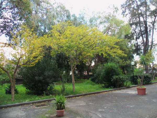 appartamento in vendita a Catania