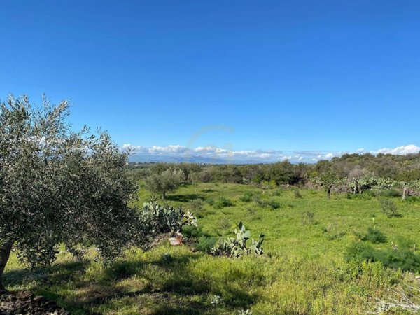 terreno agricolo in vendita a Catania