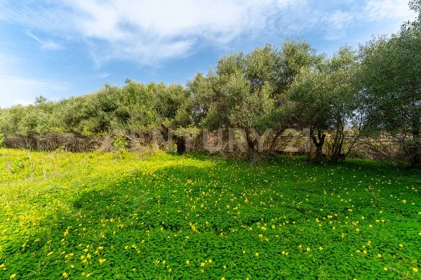 negozio in vendita a Catania in zona Villaggio Delfino-Vaccarizzo