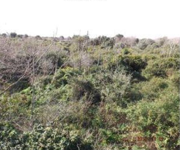 casa indipendente in vendita a Catania in zona Canalicchio