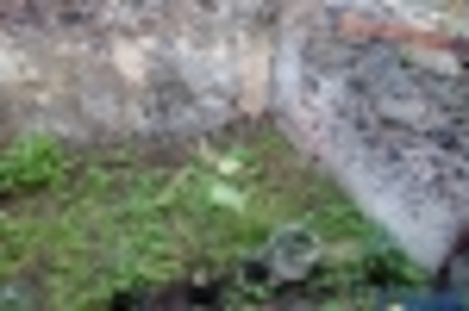 pentavano in vendita a Catania