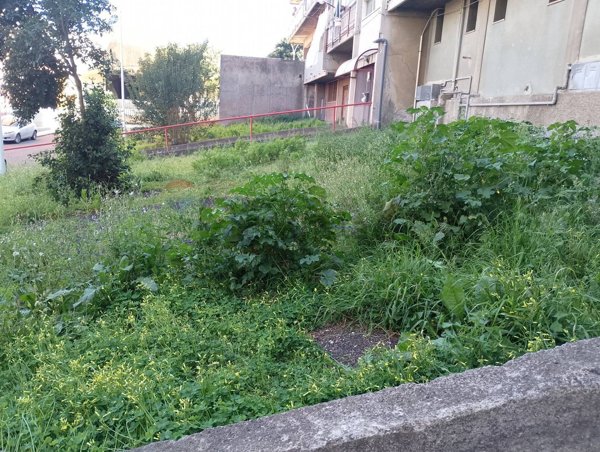 appartamento in vendita a Catania in zona Zia Lisa