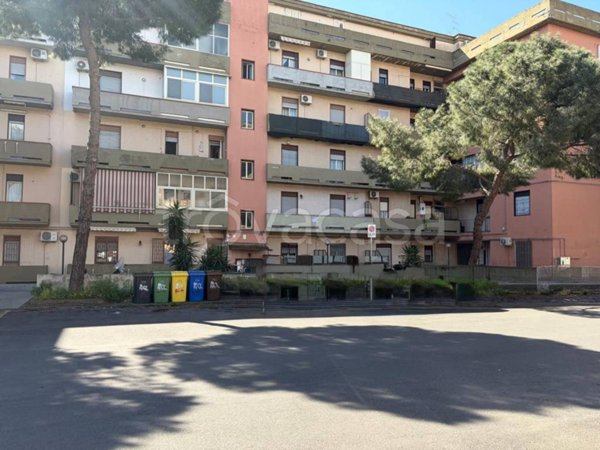 appartamento in vendita a Catania in zona Barriera del Bosco