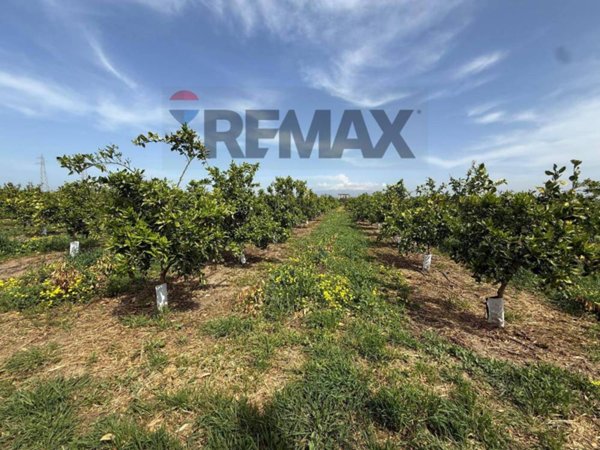 terreno agricolo in vendita a Catania in zona Fontanarossa