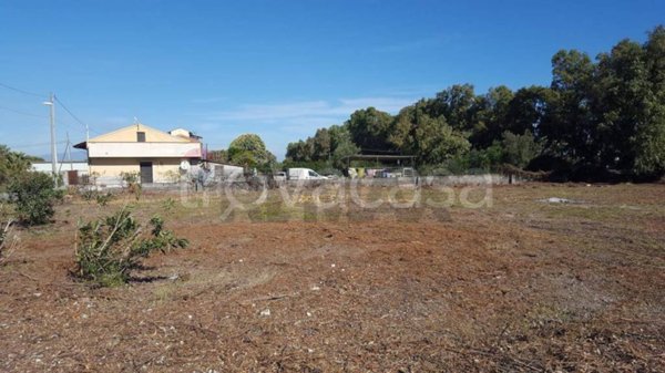 terreno agricolo in vendita a Catania in zona Villaggio Delfino-Vaccarizzo