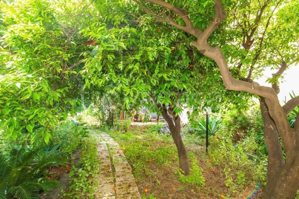 appartamento in vendita a Catania in zona Centro Storico