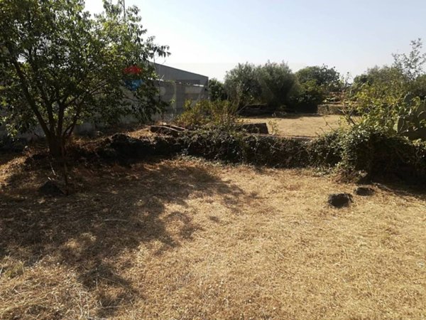 terreno agricolo in vendita a Catania in zona San Nullo