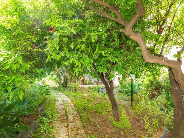 appartamento in vendita a Catania in zona Centro Storico