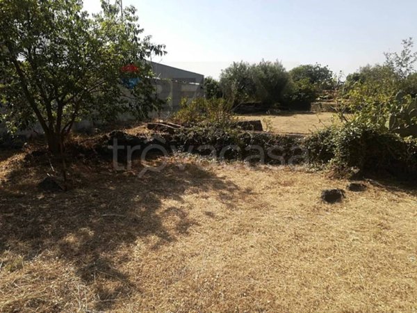 terreno agricolo in vendita a Catania