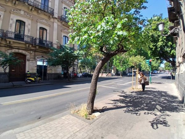 appartamento in vendita a Catania