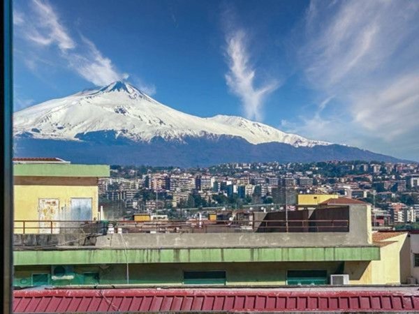 appartamento in vendita a Catania in zona Ognina