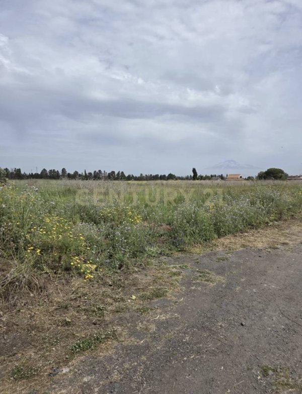 terreno agricolo in vendita a Catania