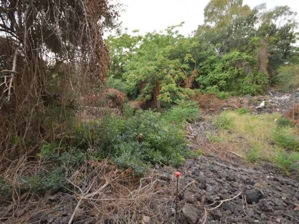 terreno agricolo in vendita a Catania