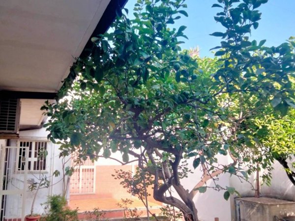casa indipendente in vendita a Catania in zona Cibali