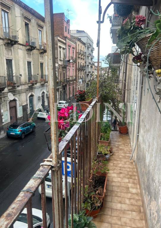 appartamento in vendita a Catania in zona Centro Storico