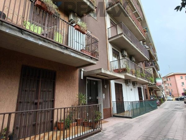 appartamento in vendita a Catania in zona San Leone
