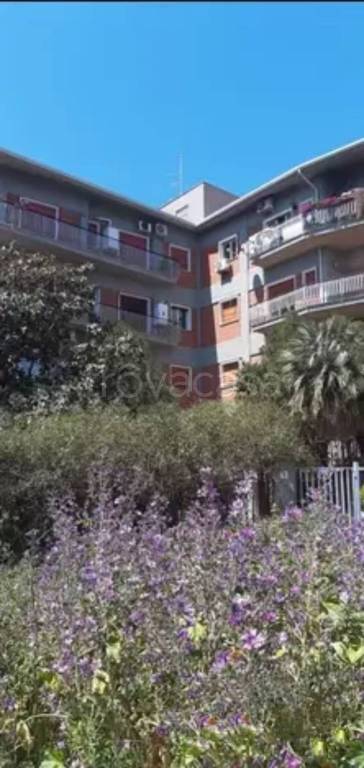 appartamento in vendita a Catania in zona San Nullo