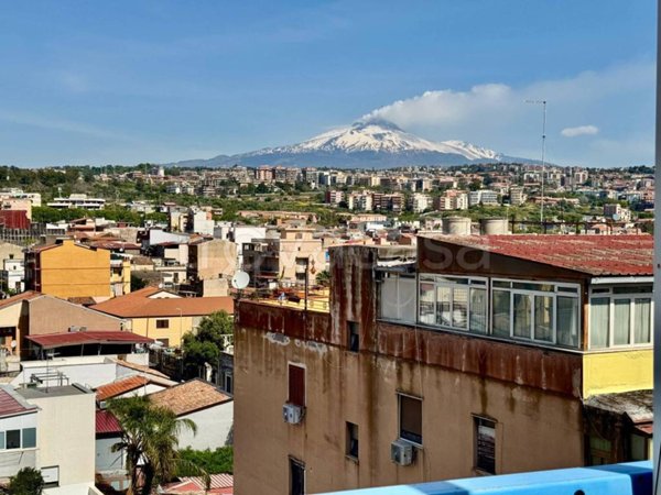 appartamento in vendita a Catania in zona Picanello