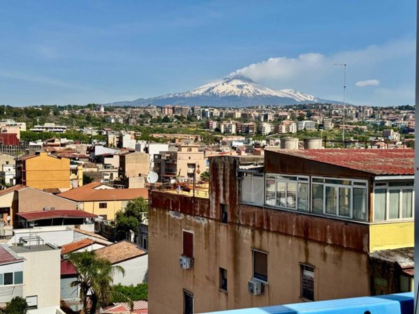 appartamento in vendita a Catania in zona Picanello