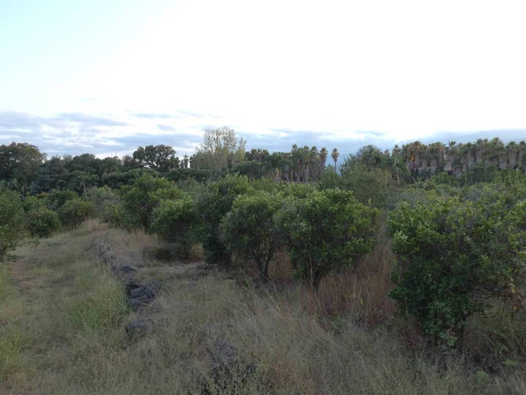 terreno agricolo in vendita a Fiumefreddo di Sicilia