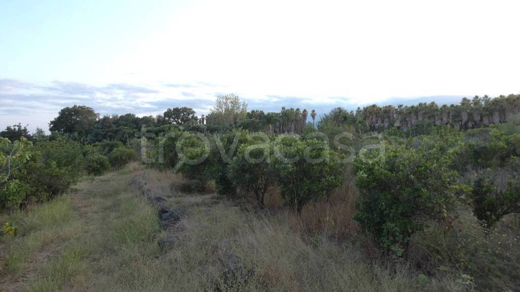 terreno agricolo in vendita a Fiumefreddo di Sicilia