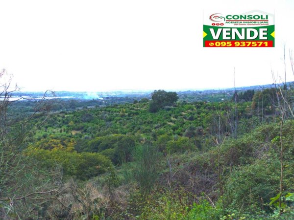 terreno agricolo in vendita a Fiumefreddo di Sicilia