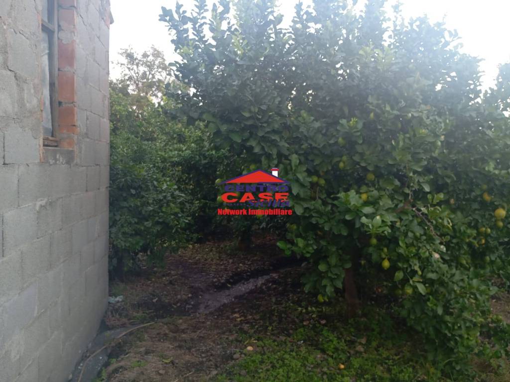 terreno agricolo in vendita a Fiumefreddo di Sicilia