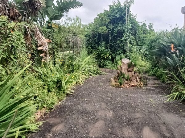 casa semindipendente in vendita a Fiumefreddo di Sicilia
