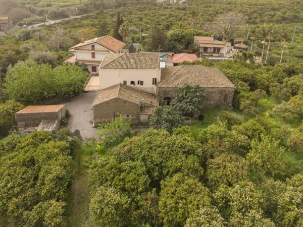 esavano in vendita a Fiumefreddo di Sicilia