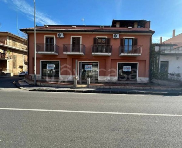 immagine annuncio 0 di 15
