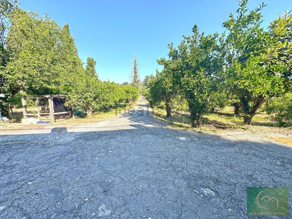 casa indipendente in vendita a Fiumefreddo di Sicilia